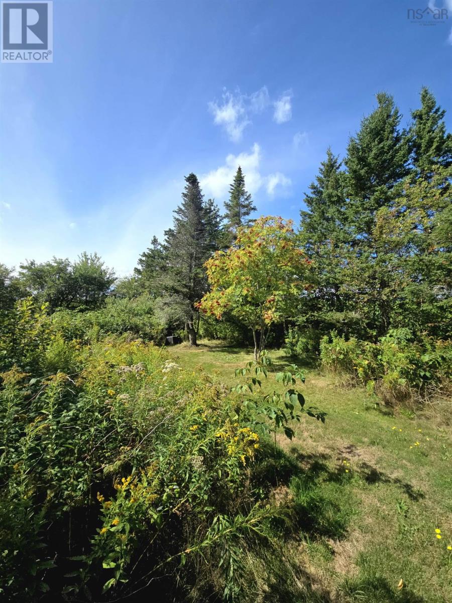 77 Bayfield Road, Afton, Nova Scotia  B0H 1A0 - Photo 11 - 202522978