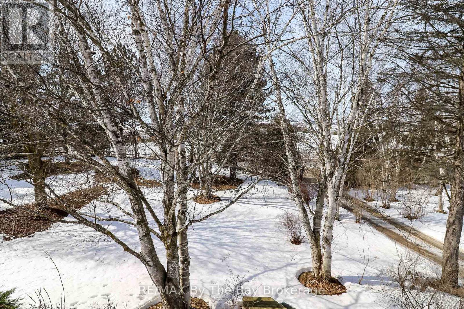 2553 County 42 Road, Clearview, Ontario  L0M 1S0 - Photo 39 - S12506144