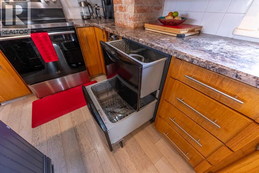 4217 51a Street, Red Deer, Alberta T4N 2B7 - Photo 19 - A2270318