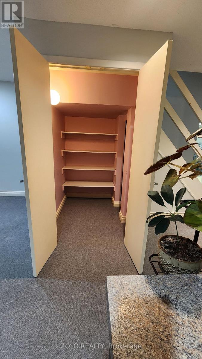 Lower W/o - 27 Abraham Avenue, Markham (Aileen-Willowbrook), Ontario  L3T 5G5 - Photo 13 - N12522230