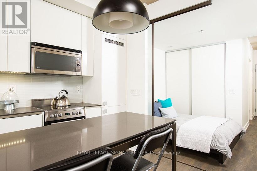 607 - 8 Dovercourt Road, Toronto, Ontario  M6J 0B6 - Photo 6 - C12609596
