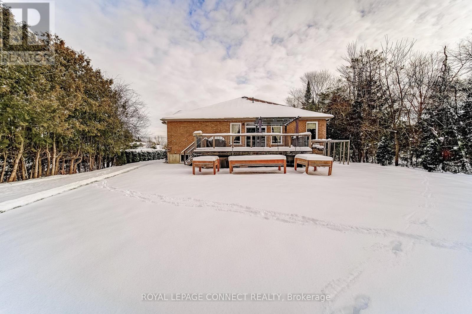 46 Alexander Boulevard, Georgina, Ontario  L0E 1L0 - Photo 45 - N12609470