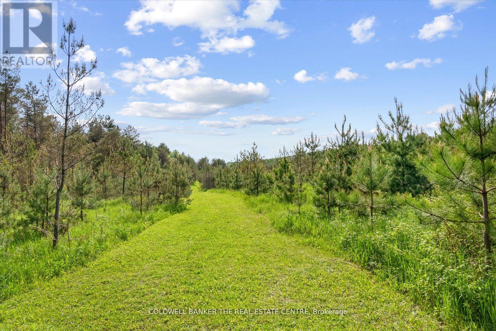 798213 3rd Line, Mulmur, Ontario  L9V 0H7 - Photo 41 - X12335608