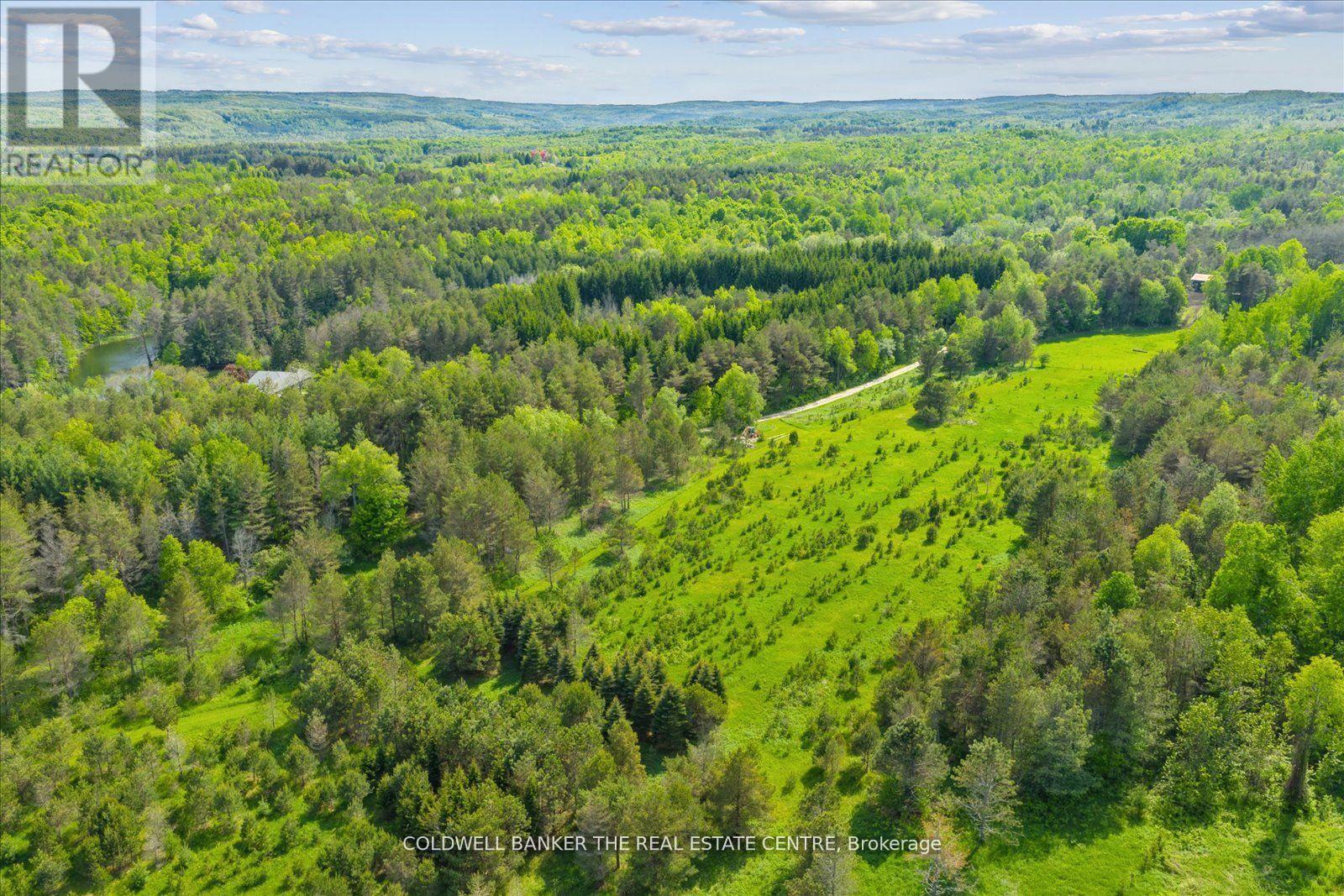 798213 3rd Line, Mulmur, Ontario  L9V 0H7 - Photo 40 - X12335608