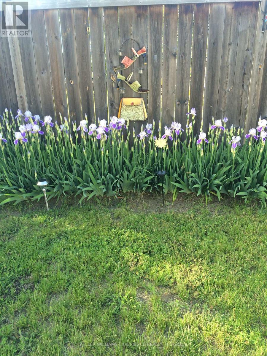 38 Truax Crescent, Essa, Ontario  L3W 0C2 - Photo 26 - N12474464