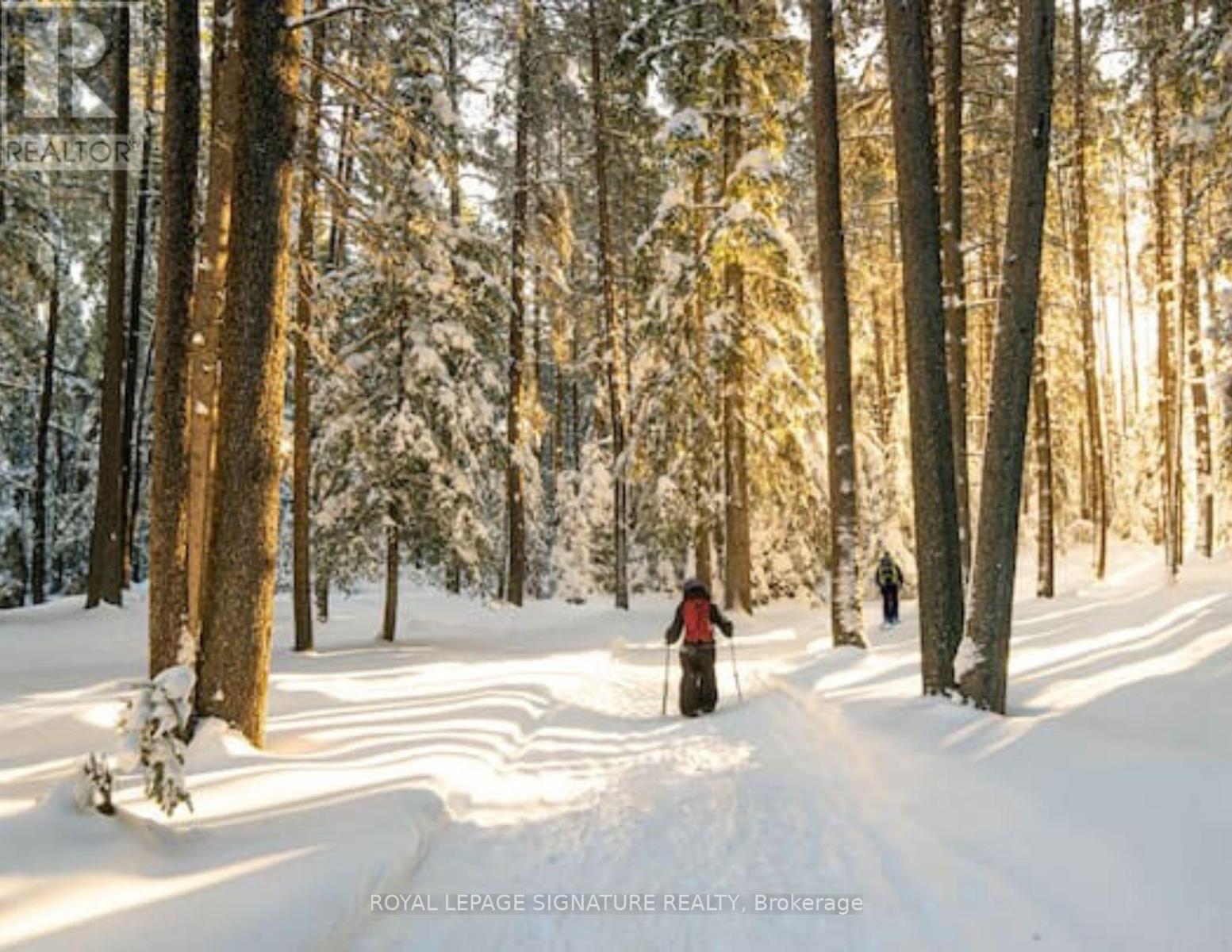 3309 Riverdale Drive, Severn, Ontario  L0K 2B0 - Photo 2 - S12472223