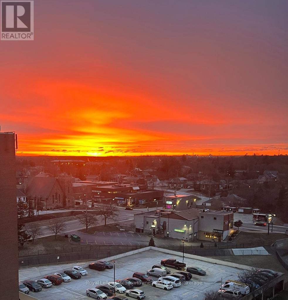 1003 - 100 Millside Drive, Milton, Ontario L9T 5E2 - Photo 16 - W12603816