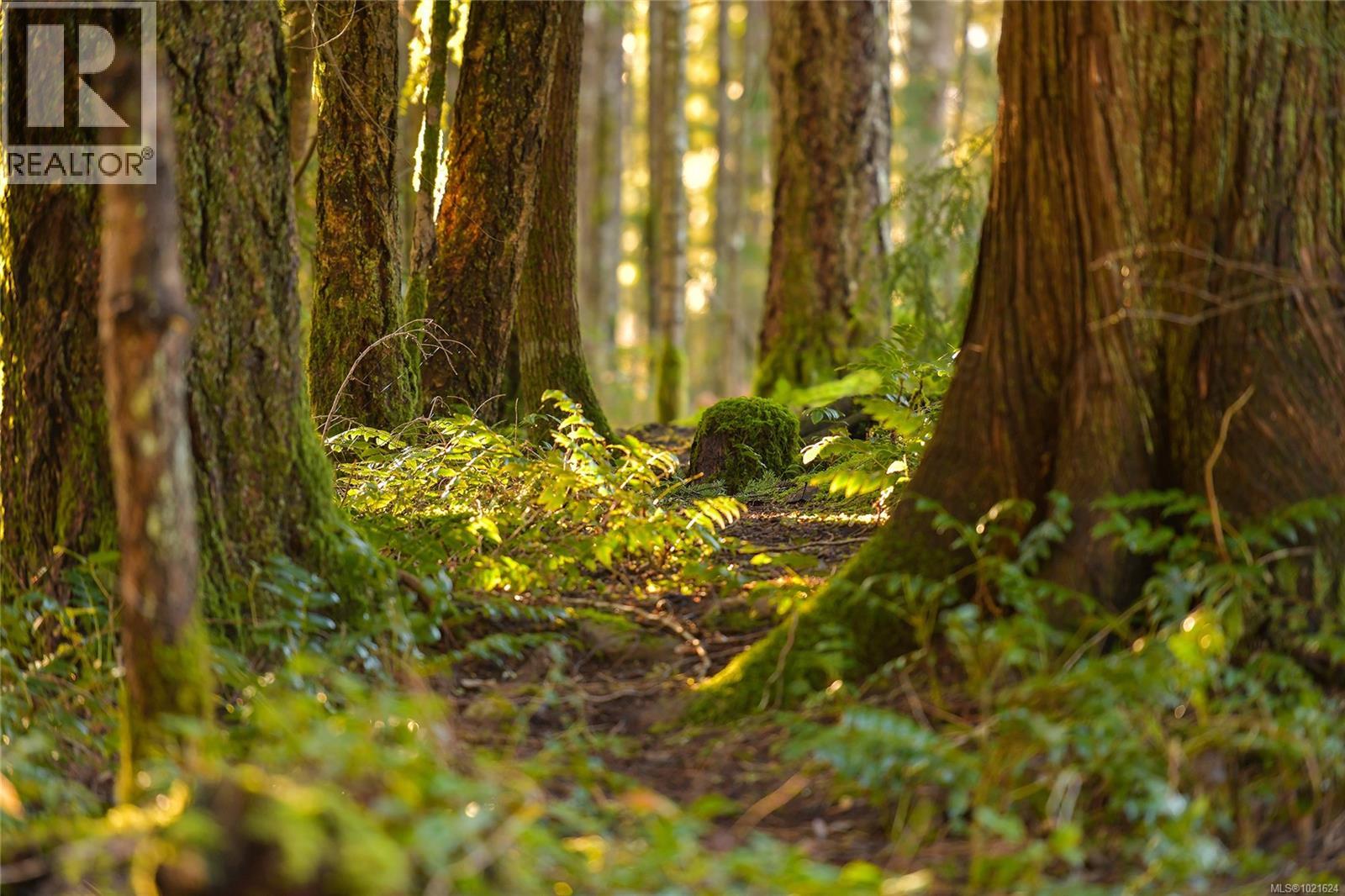 3795 Glenora Rd, Duncan, British Columbia V9L 6S5 - Photo 14 - 1021624