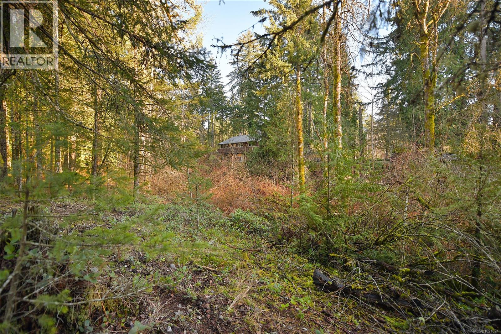 3795 Glenora Rd, Duncan, British Columbia V9L 6S5 - Photo 58 - 1021624