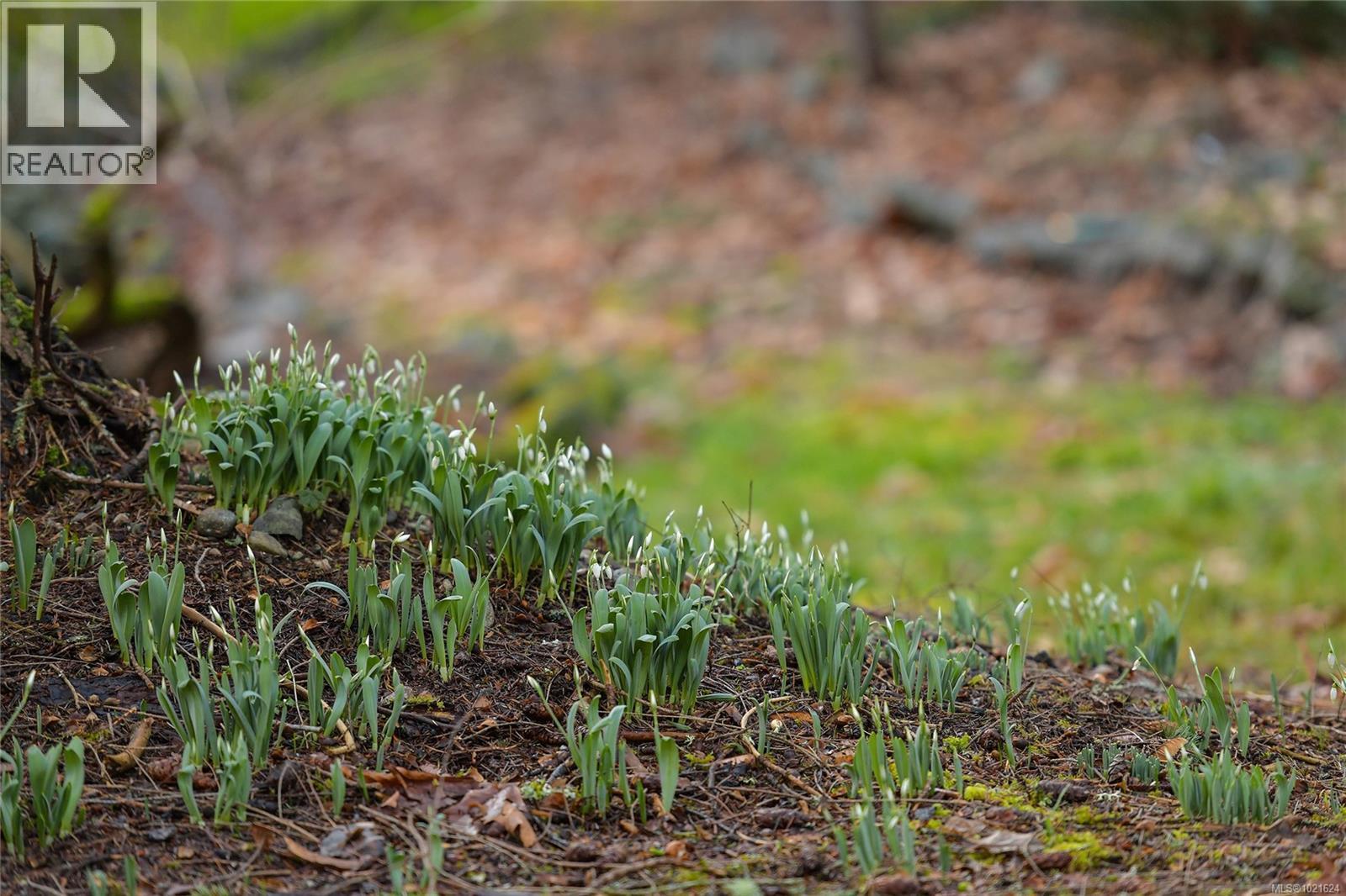 3795 Glenora Rd, Duncan, British Columbia V9L 6S5 - Photo 73 - 1021624