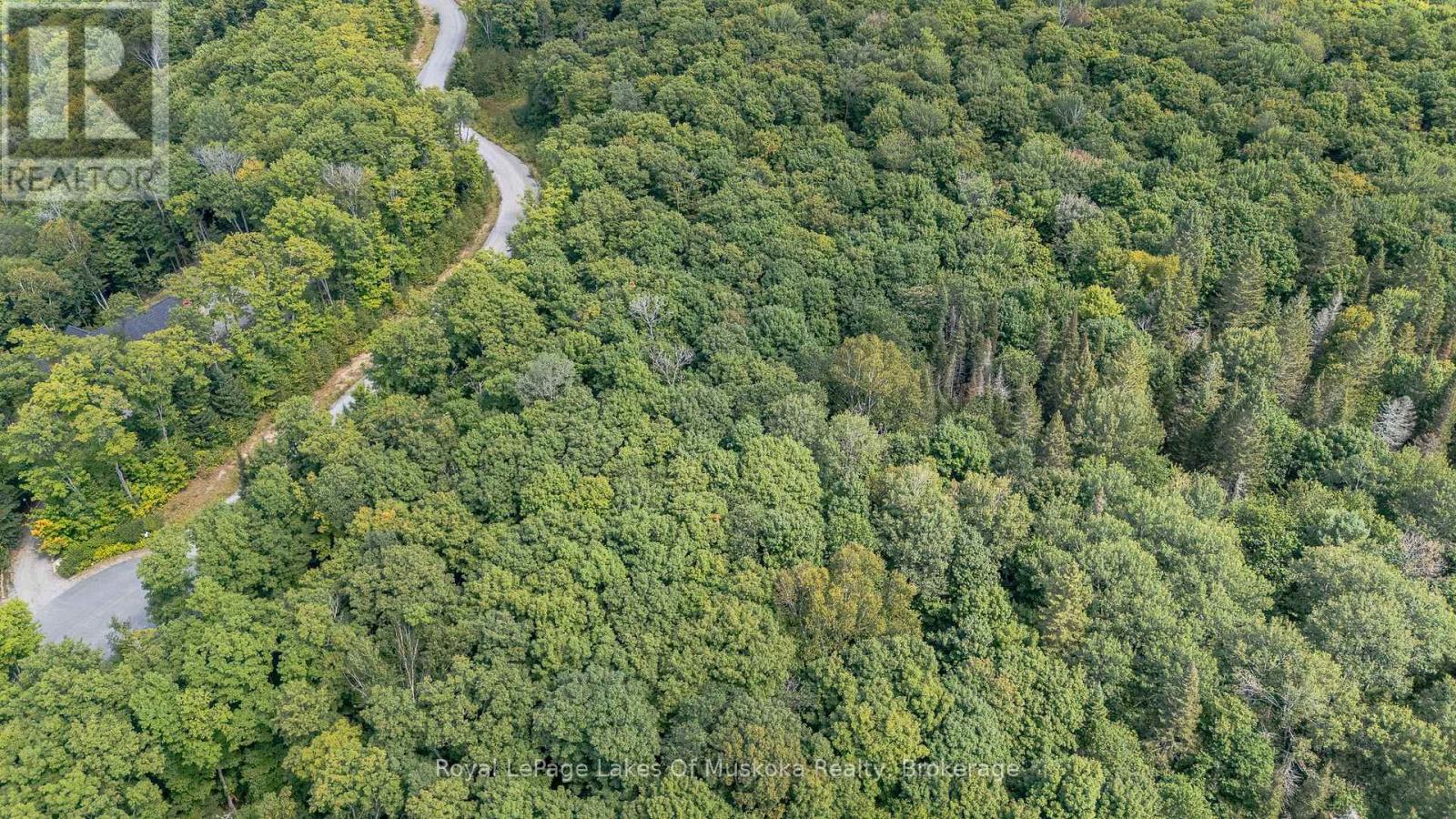 Lot 2 Riverside Drive, Kearney, Ontario  P0A 1M0 - Photo 6 - X12609978