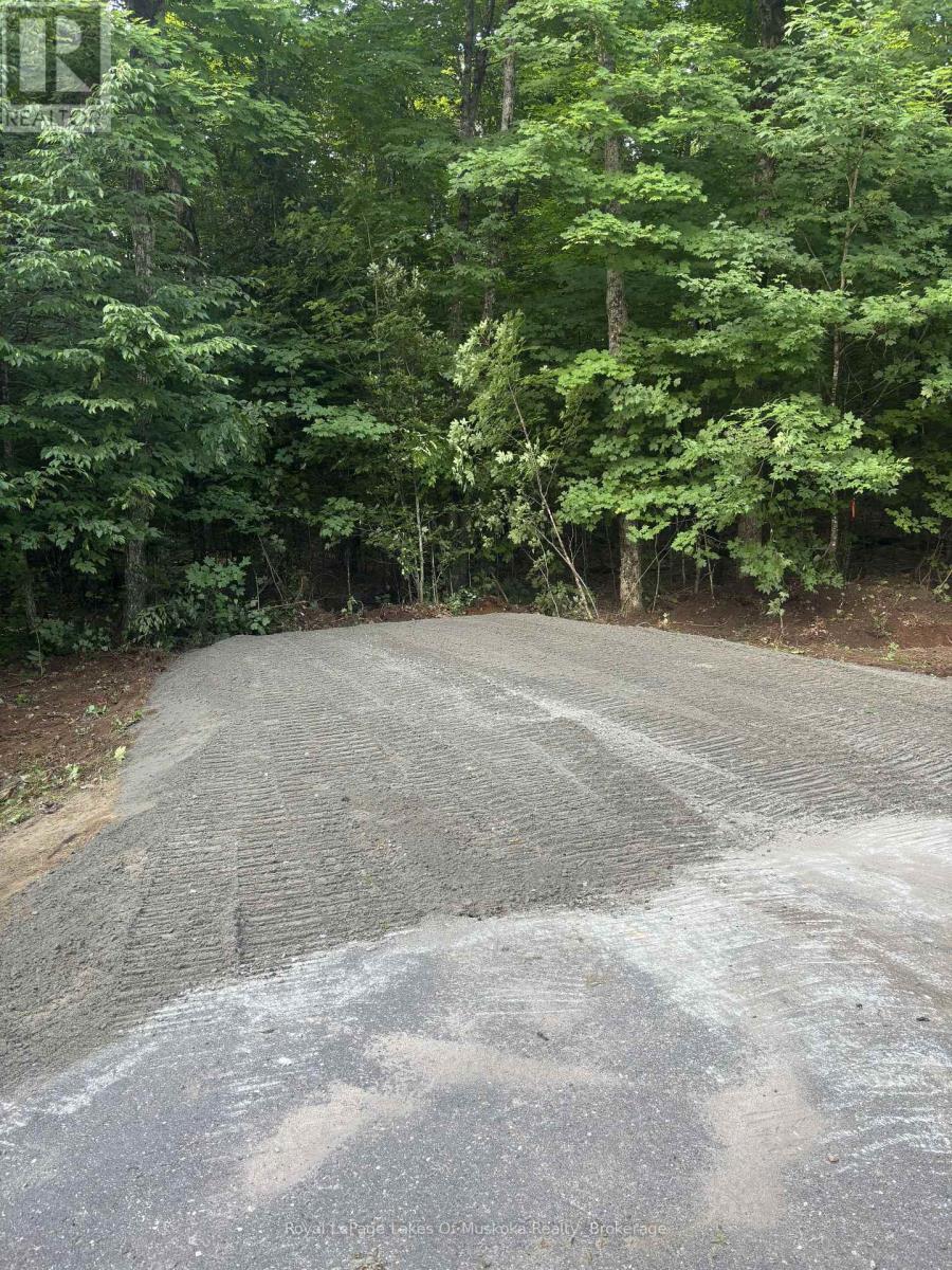 Lot 2 Riverside Drive, Kearney, Ontario  P0A 1M0 - Photo 8 - X12609978