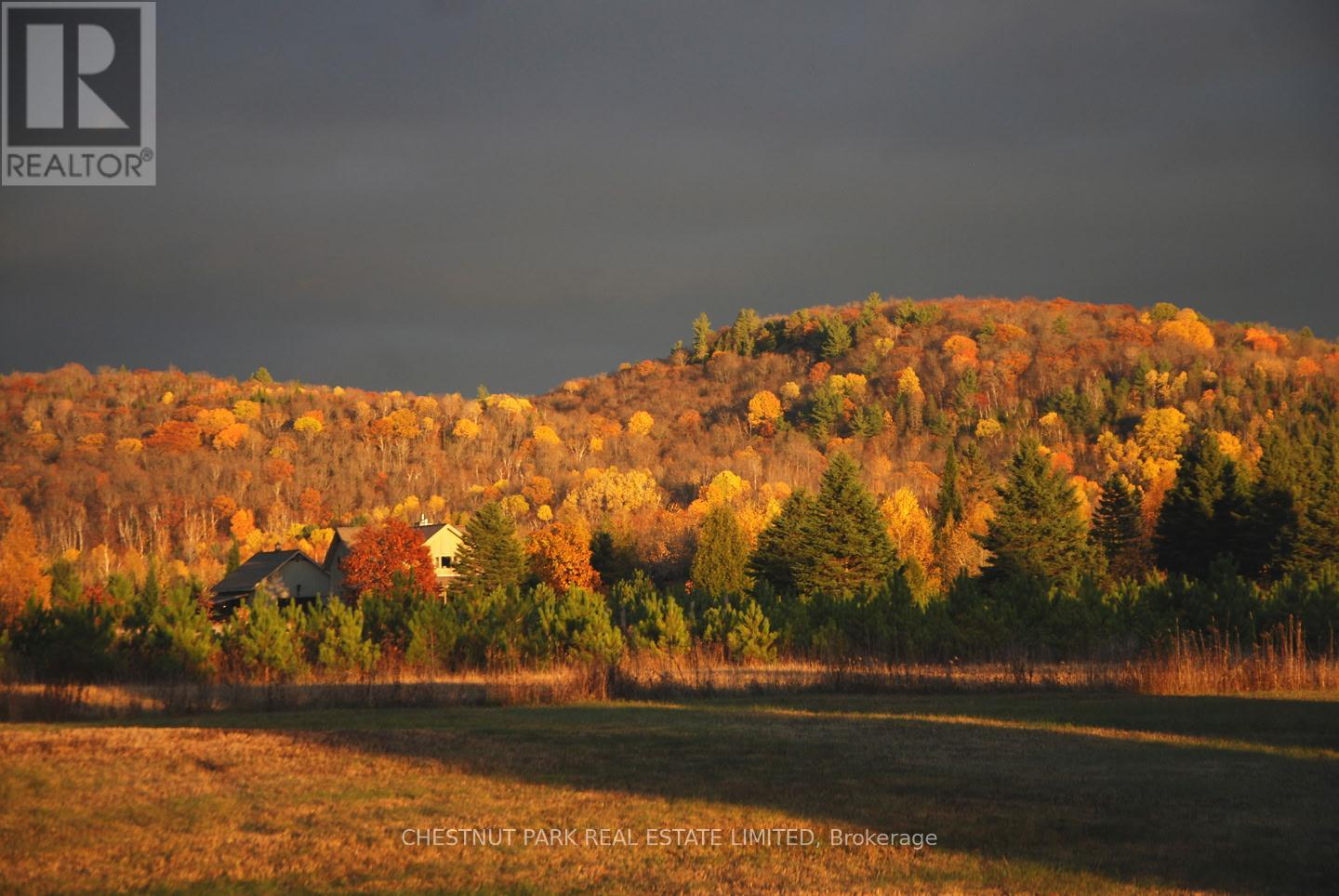 778 Maxwell Settlement Road, Bancroft, Ontario K0L 1C0 - Photo 47 - X12273237