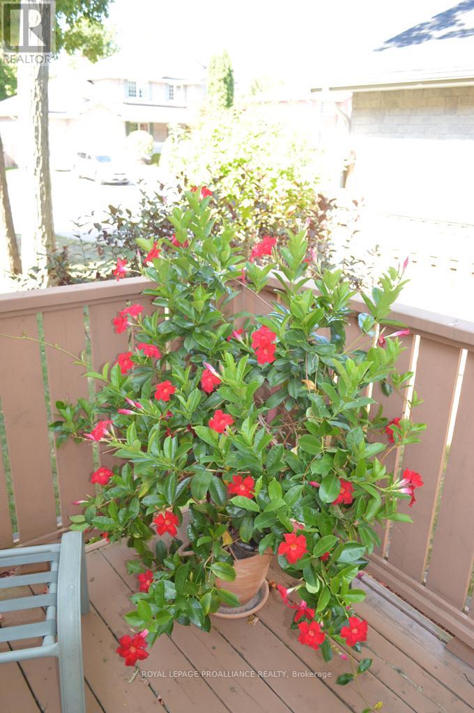 1 Simmons Court, Quinte West, Ontario  K8V 6M9 - Photo 40 - X12403000