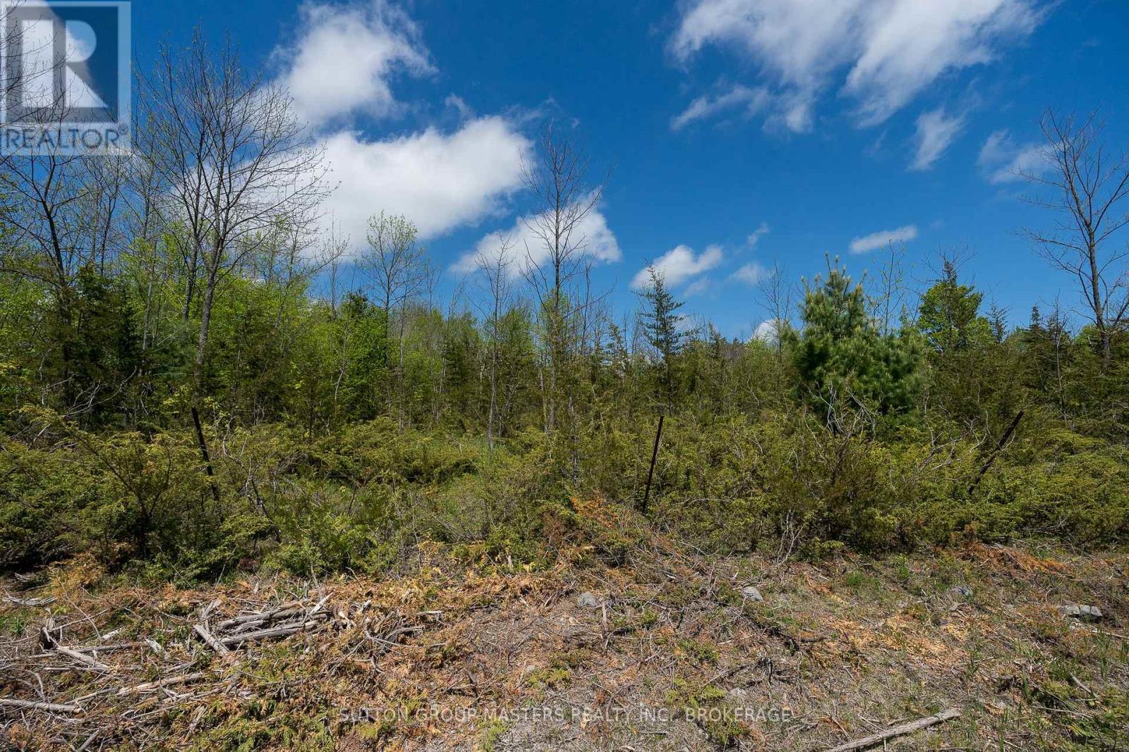 00 Mccutcheon Road, Stone Mills, Ontario  K0K 3W0 - Photo 10 - X12610074