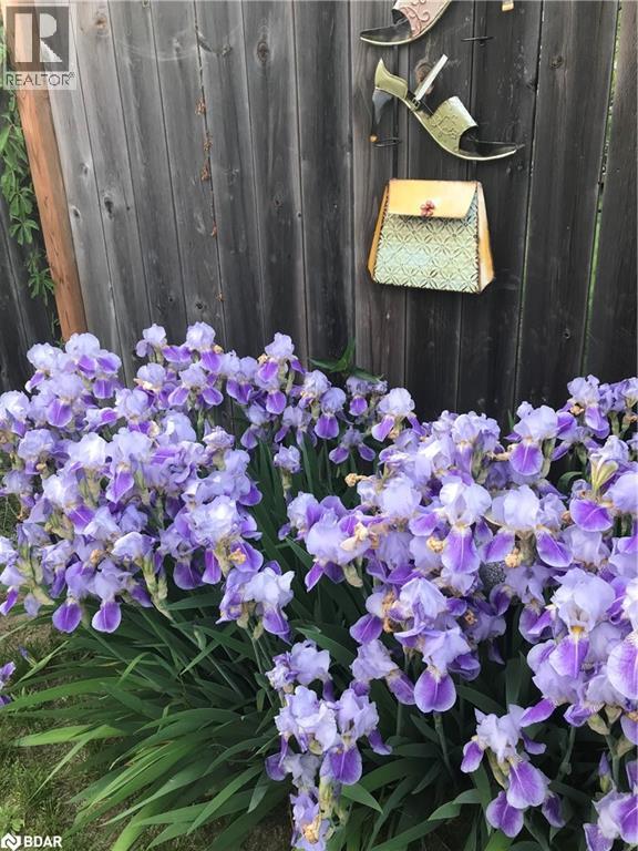 38 Truax Crescent, Angus, Ontario  L3W 0C2 - Photo 27 - 40779140