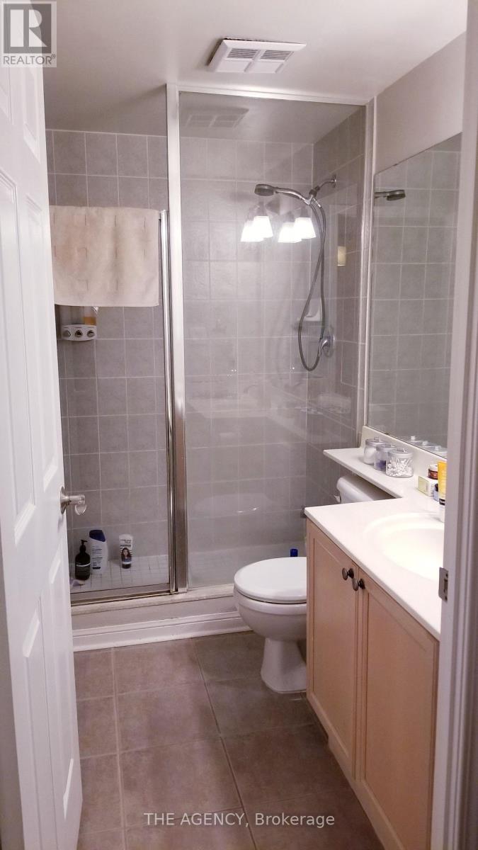 251 - 30 Stadium Road, Toronto, Ontario  M5V 3P4 - Photo 12 - C12610198