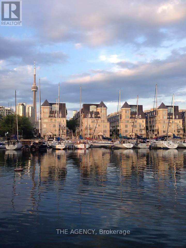 251 - 30 Stadium Road, Toronto, Ontario  M5V 3P4 - Photo 2 - C12610198