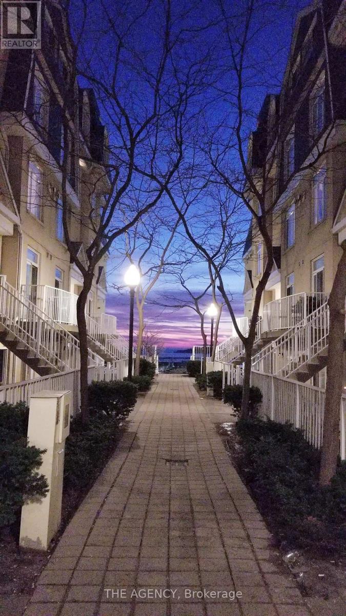 251 - 30 Stadium Road, Toronto, Ontario  M5V 3P4 - Photo 3 - C12610198