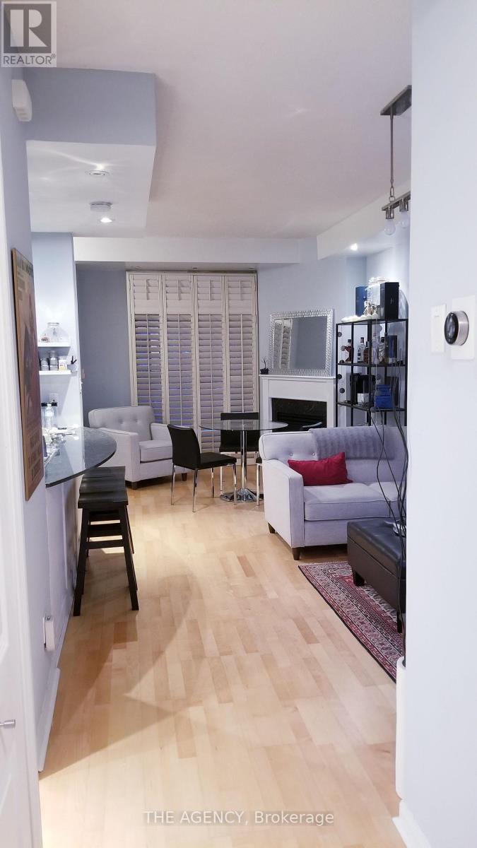 251 - 30 Stadium Road, Toronto, Ontario  M5V 3P4 - Photo 5 - C12610198