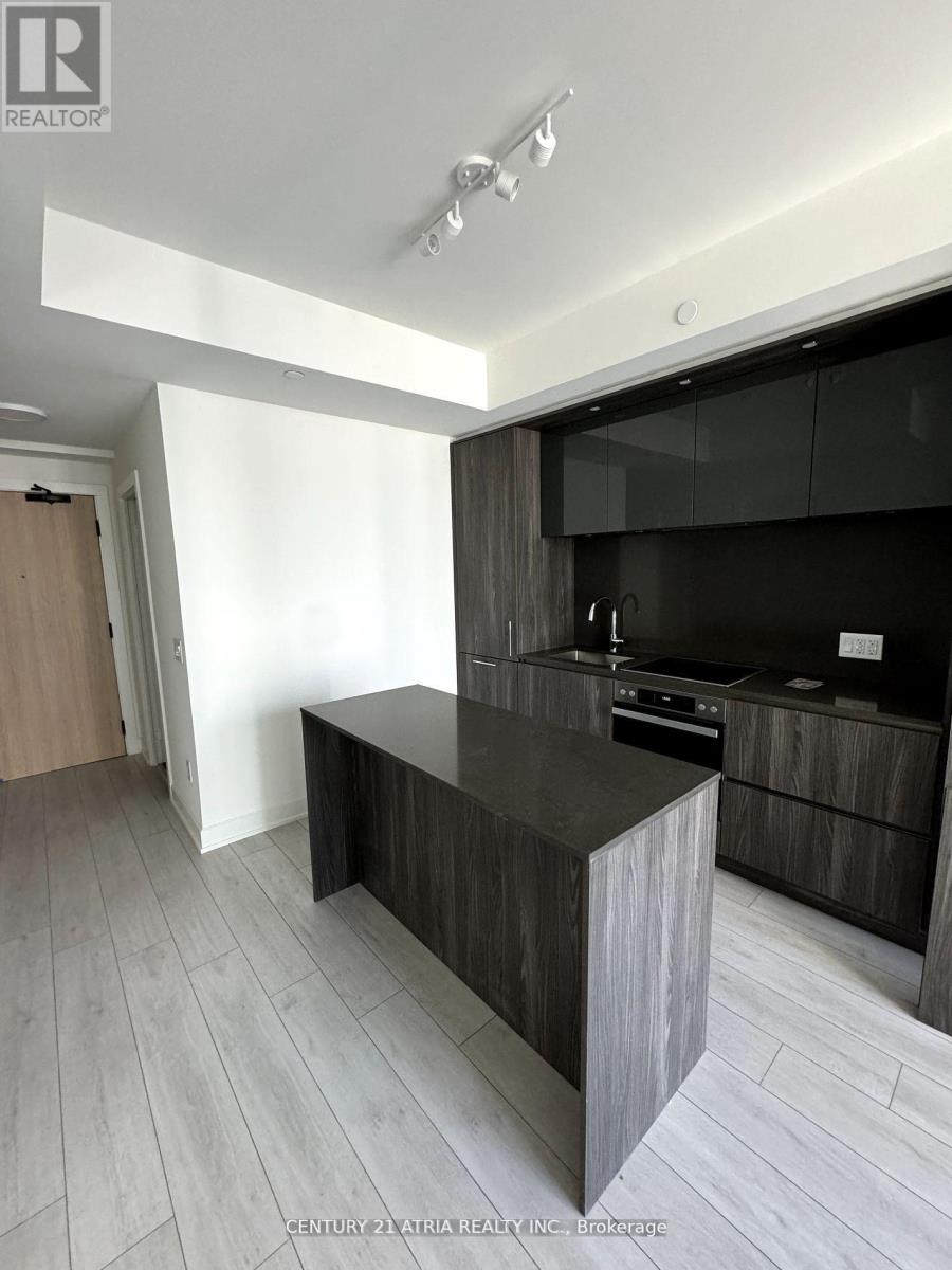 2305 - 15 Mercer Street, Toronto, Ontario  M5V 0T8 - Photo 9 - C12610220