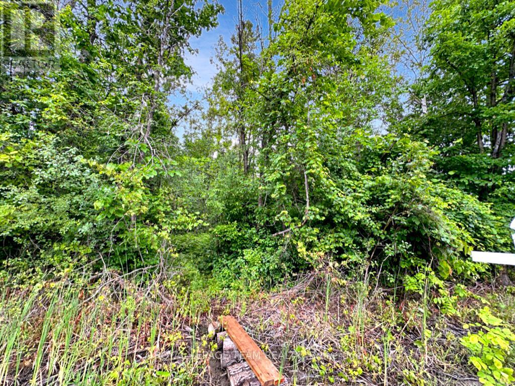 2819 Cowell Road, Ottawa, Ontario  K0A 2T0 - Photo 48 - X12210299