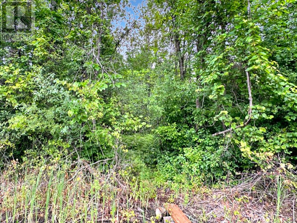 2819 Cowell Road, Ottawa, Ontario  K0A 2T0 - Photo 47 - X12210299