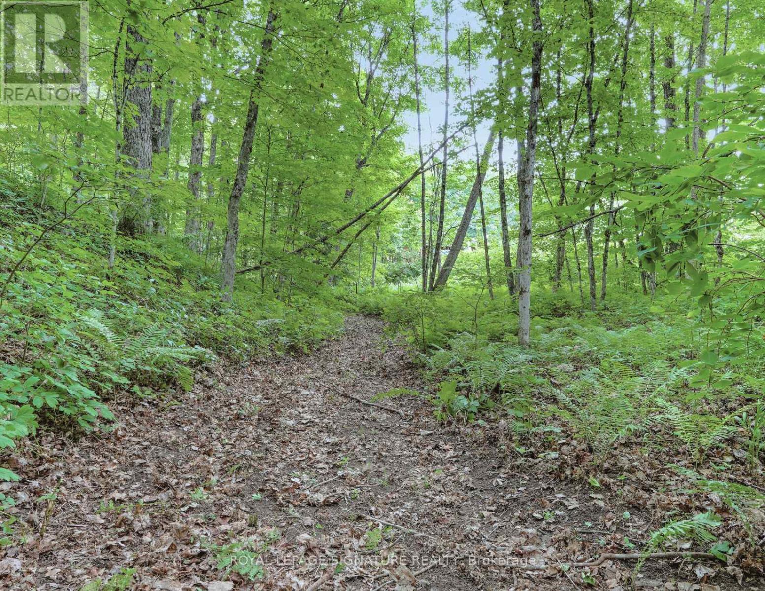 1064 Omagaki Road, Minden Hills, Ontario  K0M 2K0 - Photo 20 - X12610090