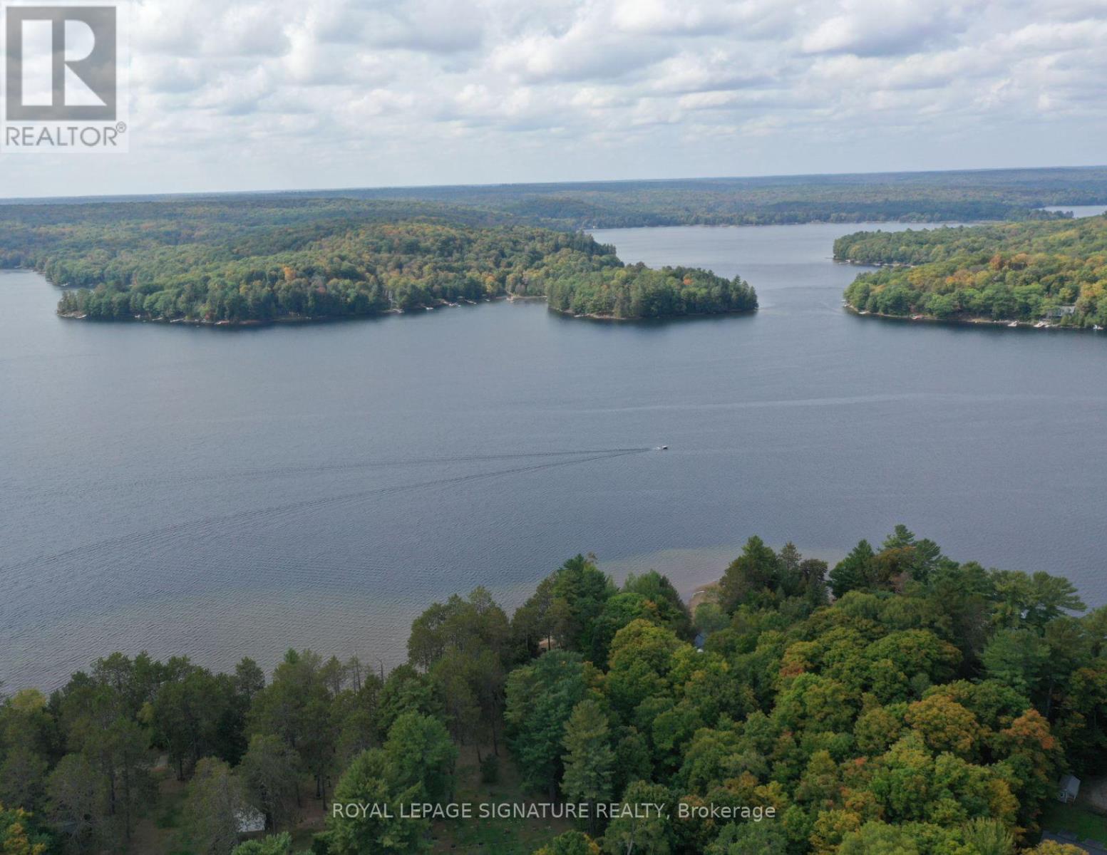 1064 Omagaki Road, Minden Hills, Ontario  K0M 2K0 - Photo 3 - X12610090