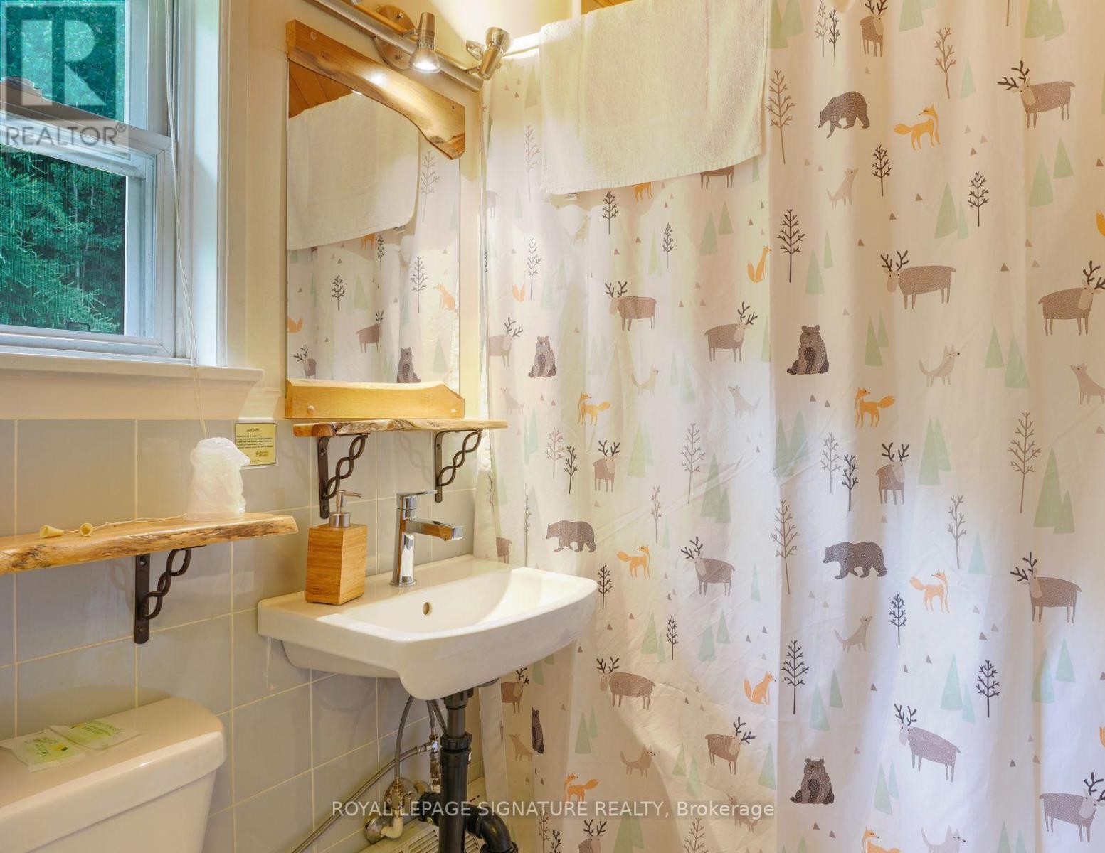 1064 Omagaki Road, Minden Hills, Ontario  K0M 2K0 - Photo 38 - X12610090