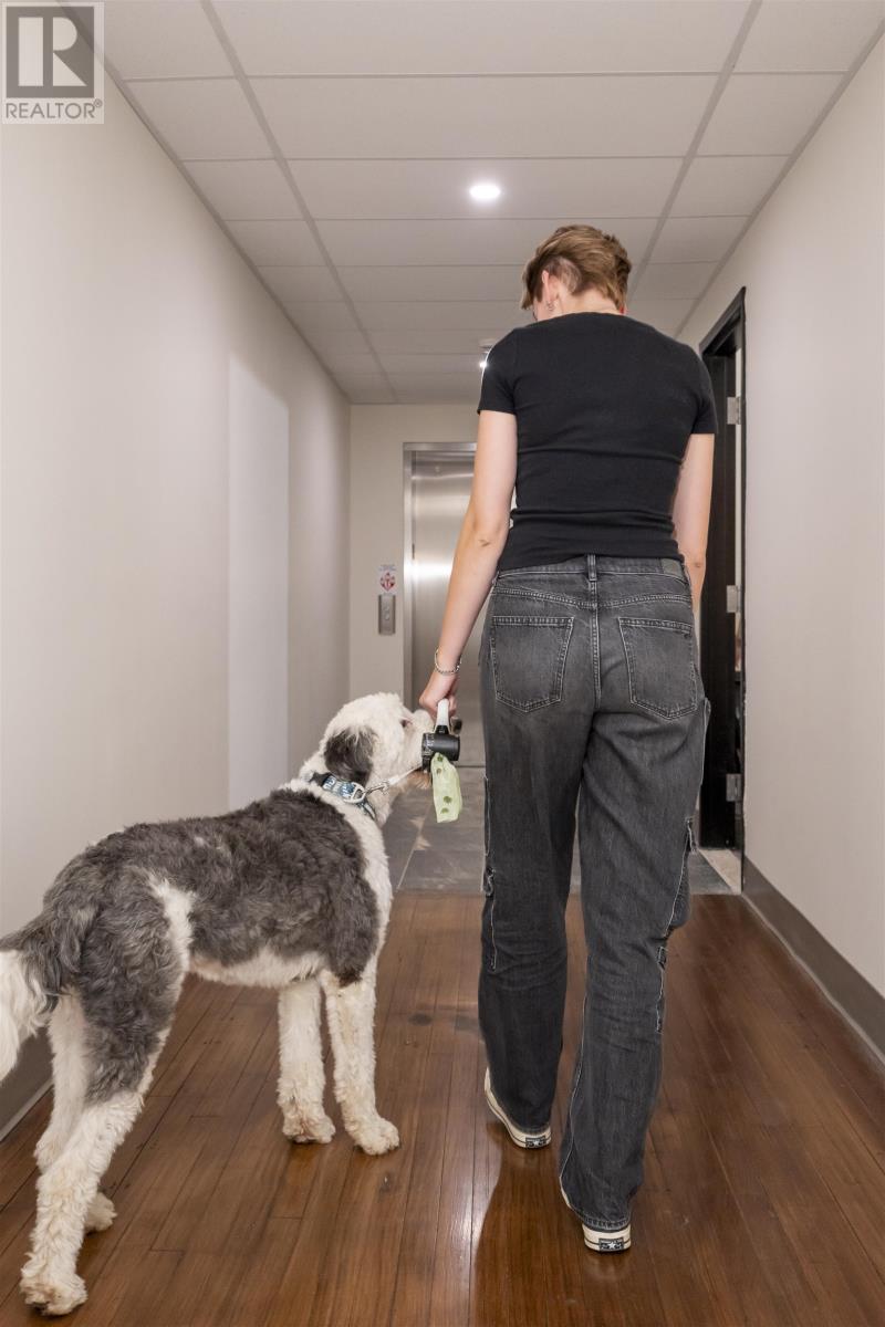 96 High St, Thunder Bay, Ontario  P7A 5R3 - Photo 10 - TB253110