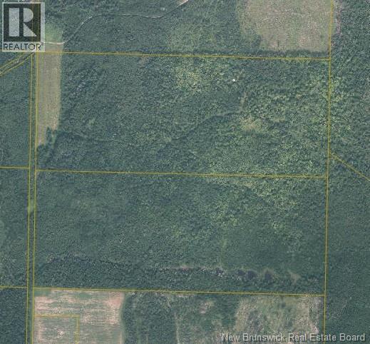 200 Acres Walker Road, South Tilley, New Brunswick E7H 5E4 - Photo 1 - NB112098