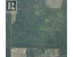 200 Acres Walker Road, south tilley, New Brunswick