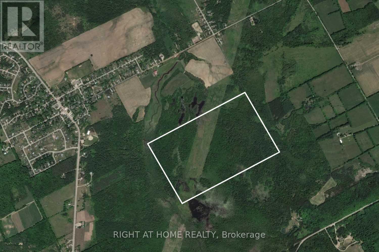 53 Scarlett Line, Oro-Medonte, Ontario  L0L 1V0 - Photo 10 - S12610252