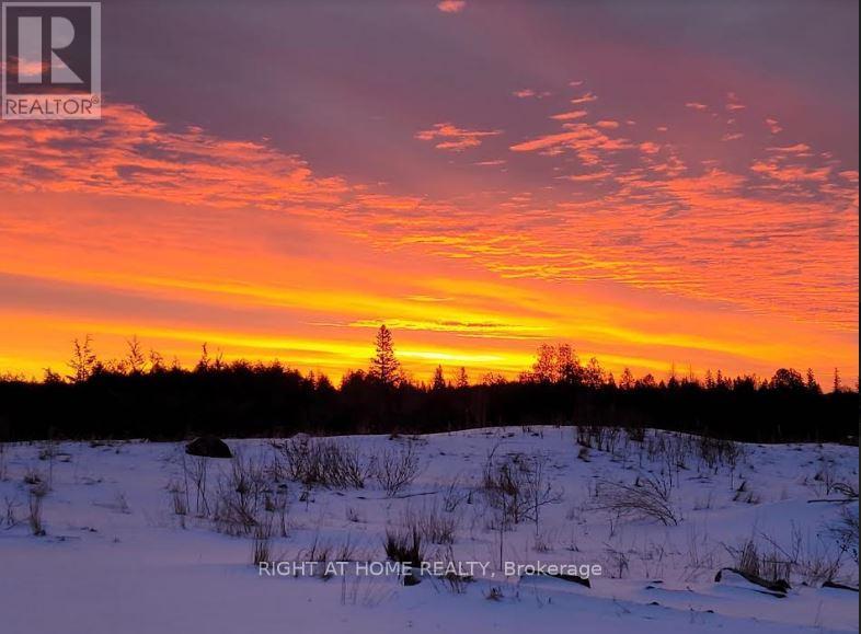 53 Scarlett Line, Oro-Medonte, Ontario  L0L 1V0 - Photo 2 - S12610252