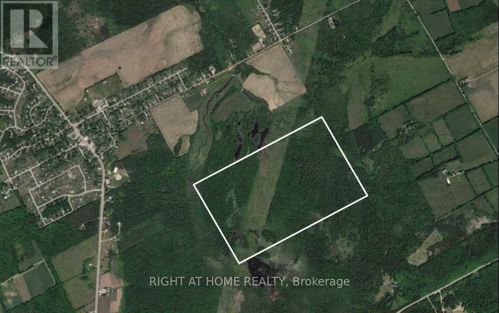 53 Scarlett Line, Oro-Medonte, Ontario  L0L 1V0 - Photo 3 - S12610252