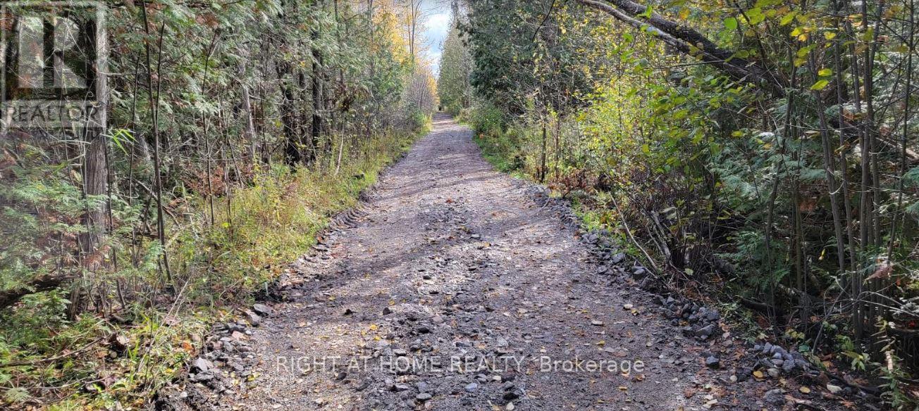 53 Scarlett Line, Oro-Medonte, Ontario  L0L 1V0 - Photo 4 - S12610252