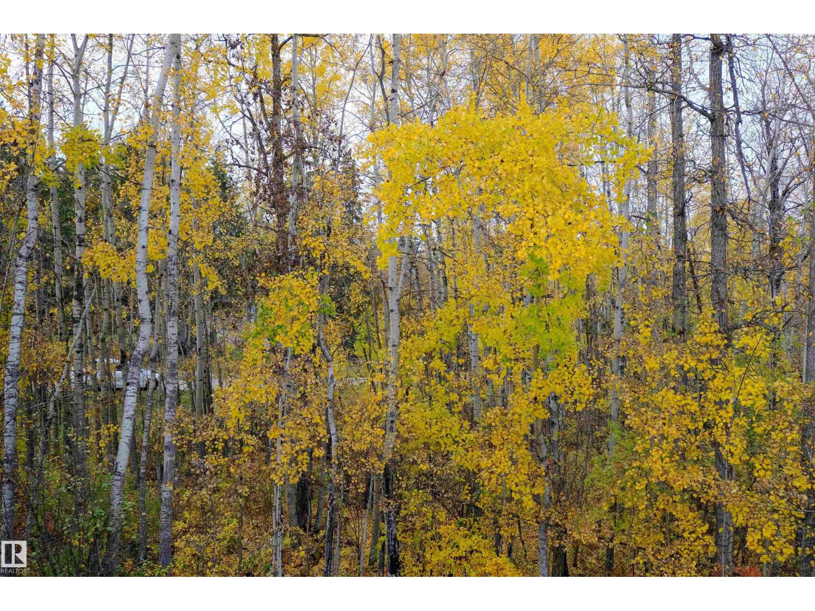 #23 4224 Twp Road 545, Rural Lac Ste. Anne County, Alberta  T0E 0A2 - Photo 57 - E4461923