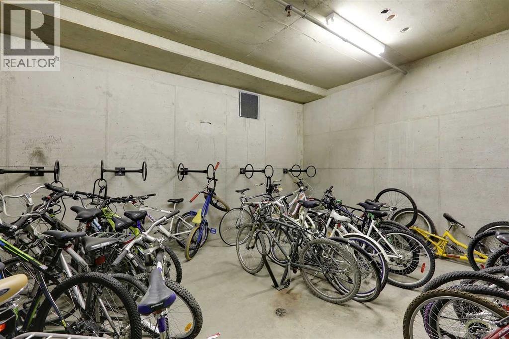 438, 35 Richard Court Sw, Calgary, Alberta  T3E 7N9 - Photo 38 - A2273923