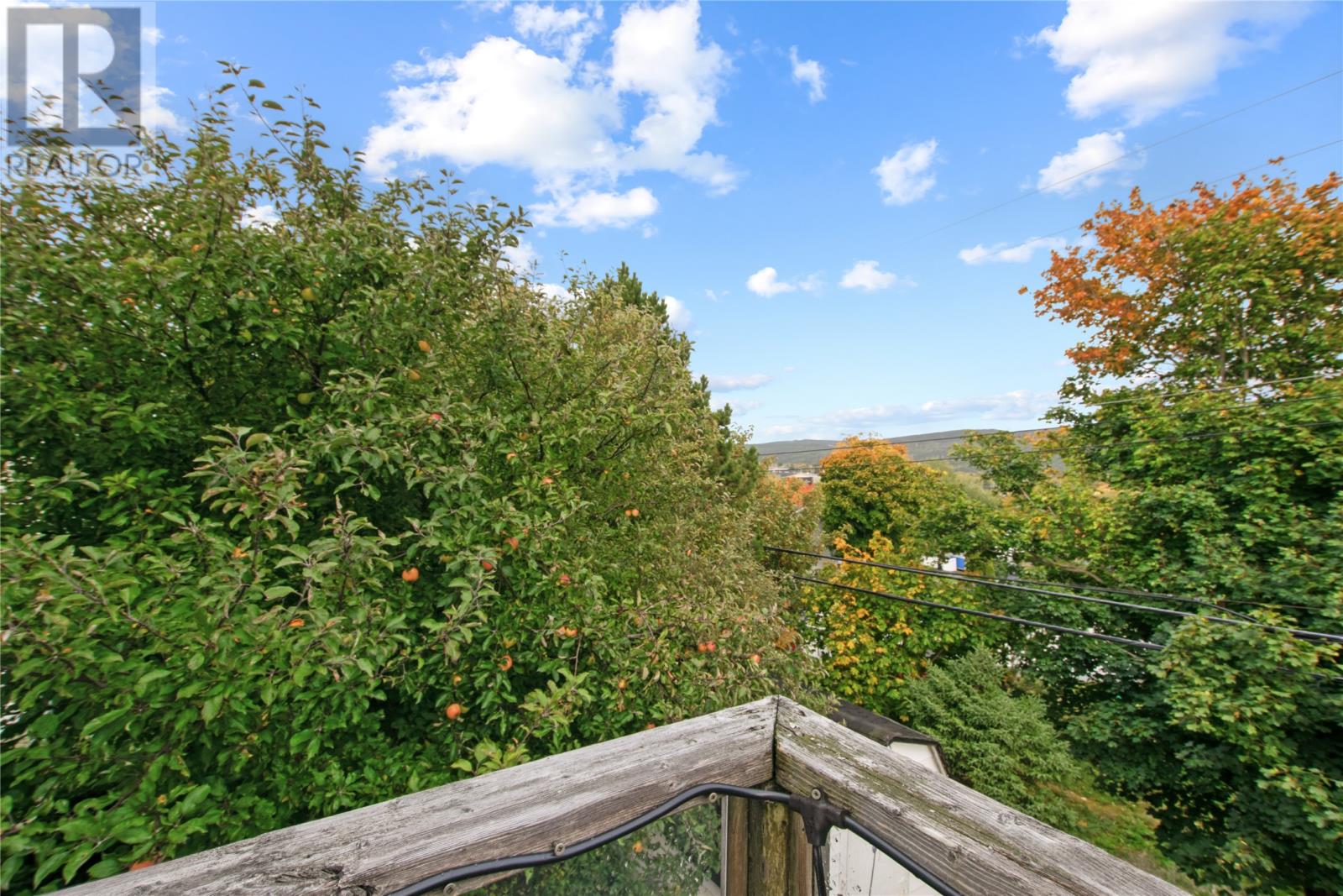 11 Trinity Street, St. John's, Newfoundland & Labrador  A1E 2M3 - Photo 37 - 1293173