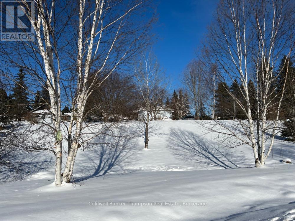 119 CENTRE STREET, Burk's Falls, Ontario