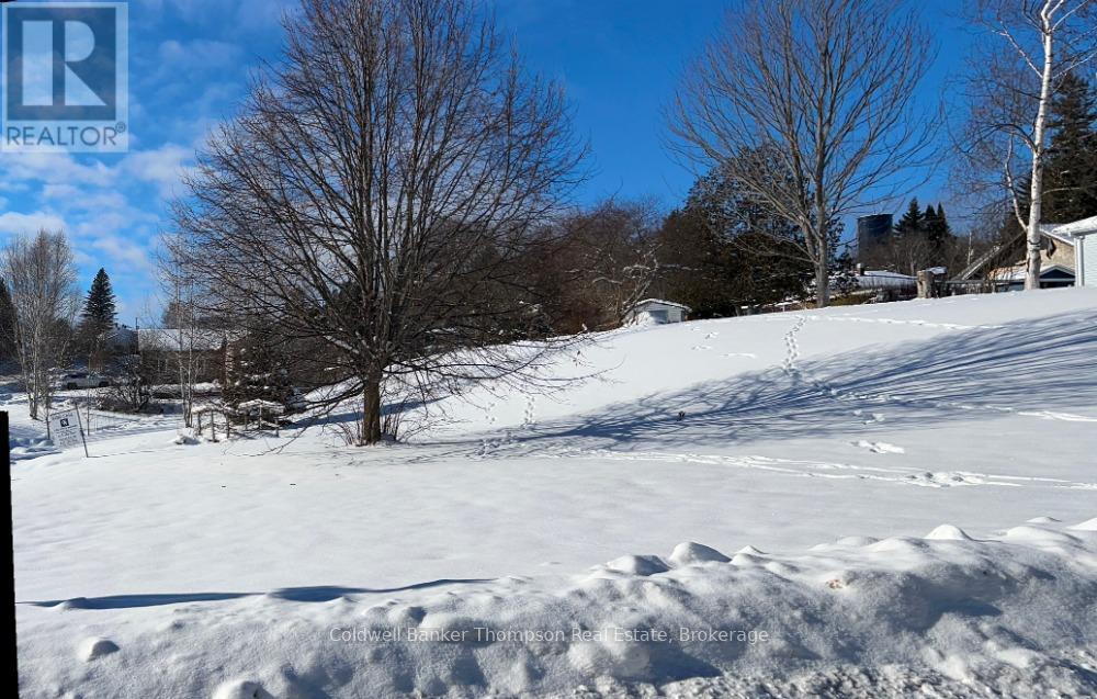 119 Centre Street, Burk's Falls, Ontario P0A 1C0 - Photo 3 - X12375253