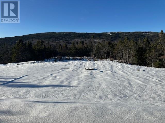 25 Ocean View Drive, Norman's Cove, Newfoundland & Labrador  A0B 2T0 - Photo 10 - 1293182