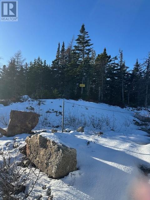 25 Ocean View Drive, Norman's Cove, Newfoundland & Labrador  A0B 2T0 - Photo 15 - 1293182