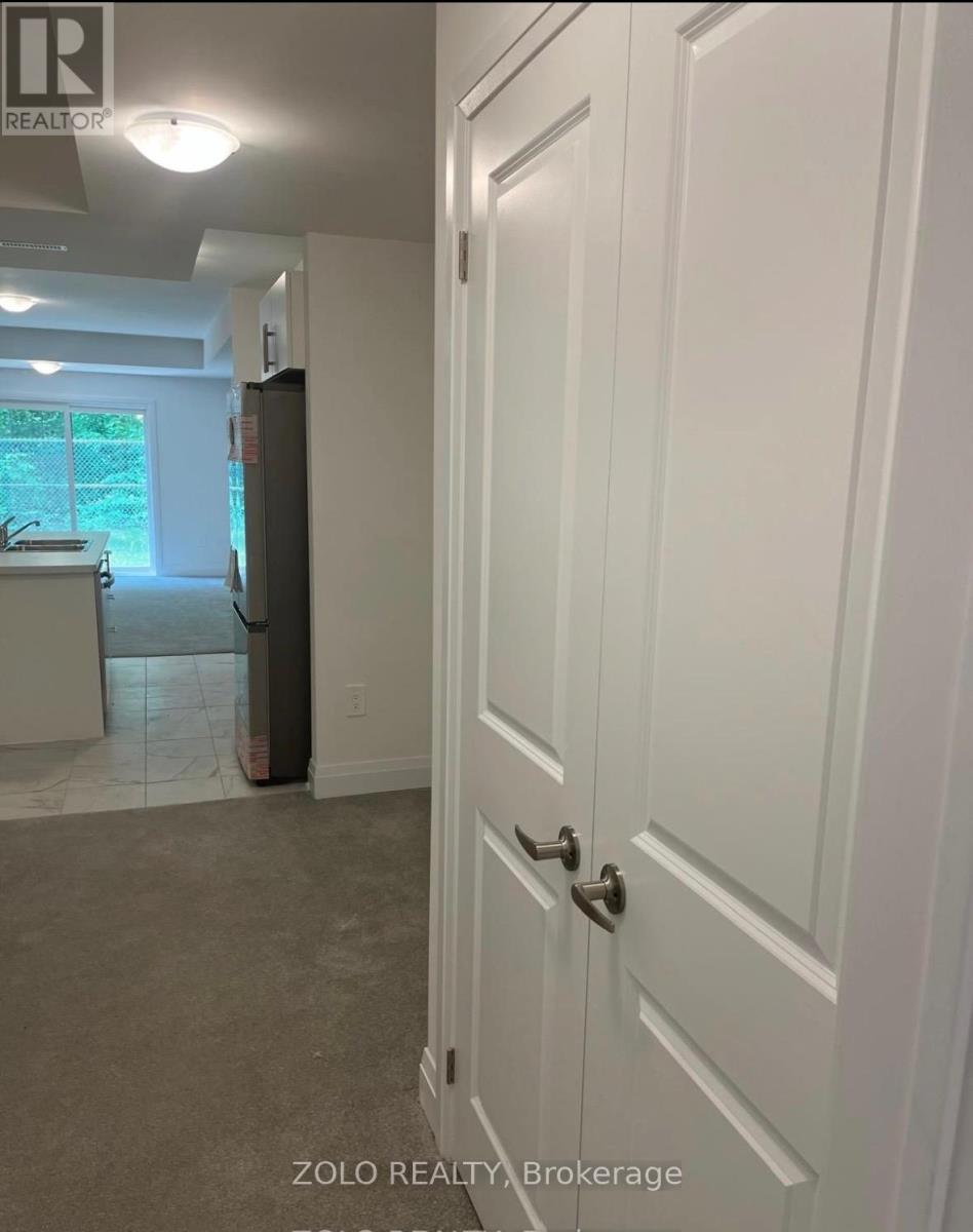 Lower - 11 Franklin Trail, Barrie, Ontario  L9J 0J1 - Photo 16 - S12610412