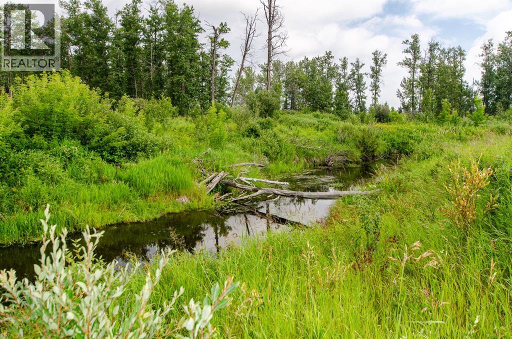 40518 Highway 821, Tees, Alberta  T0C 2N0 - Photo 14 - A2242647