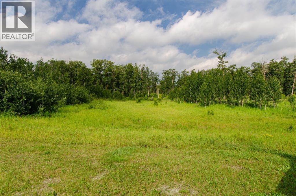 40518 Highway 821, Tees, Alberta  T0C 2N0 - Photo 7 - A2242647