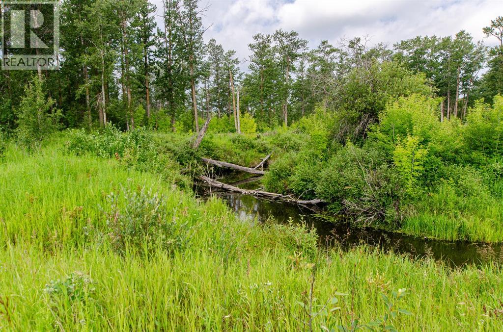 40518 Highway 821, Tees, Alberta  T0C 2N0 - Photo 13 - A2242647