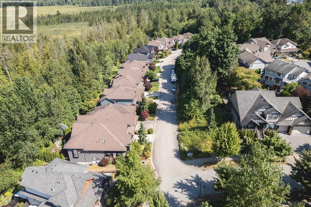 4 13887 Docksteader Loop, Maple Ridge, British Columbia V4R 0A2 - Photo 38 - R3064995