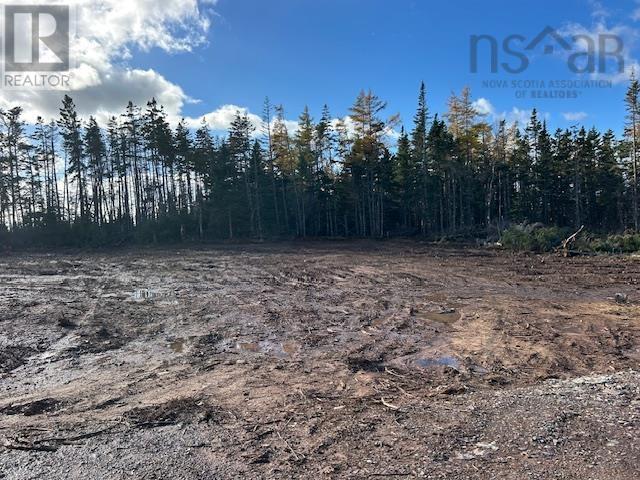 Lot 12 Northside Drive, St. Peter's, Nova Scotia B0E 3B0 - Photo 3 - 202527340